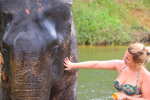 Khao Sok: Flussfahrt per Bambusfloß und ElefantenbadenFlussfahrt per Bambusfloß und Elefantenbaden: Private Tour