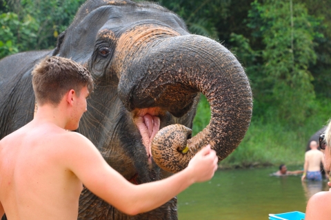 Khao Sok: dagtrip bamboeraften en olifanten wassenDagtour bamboeraften en olifanten wassen privé