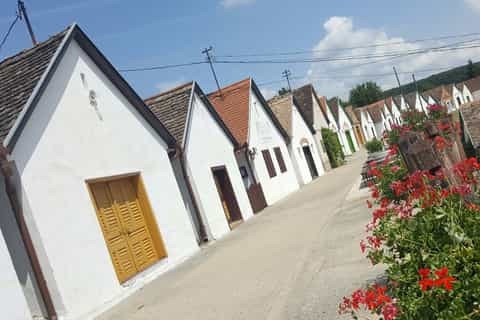 Budapest: Villány Wine Country Day-Trip