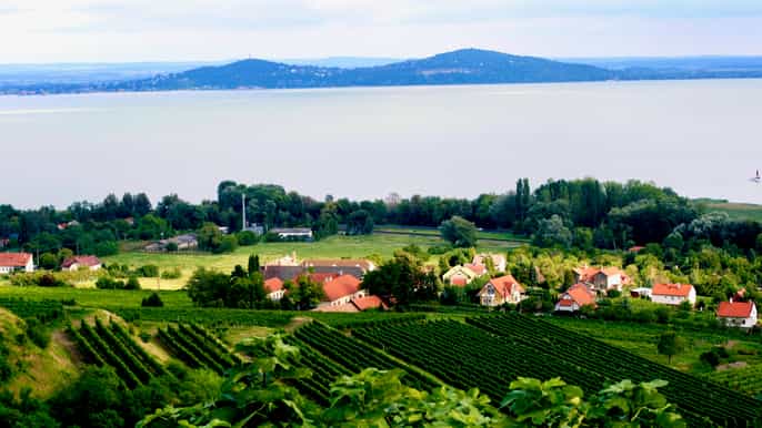 from budapest somló and northern balaton wine day trip