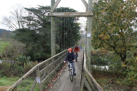 Full Day Ebike Tour - Karangahake Gorge NZ