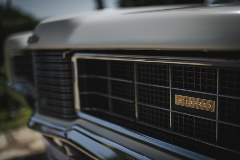 Genève: privé-dagtrip naar Montreux, Lausanne en Gruyères