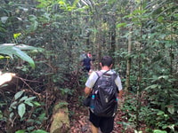 Manaus, Presidente Figueiredo Caves and Waterfalls Tour - Housity