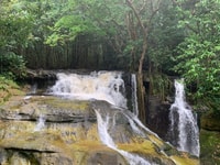 Manaus, Presidente Figueiredo Caves and Waterfalls Tour - Housity