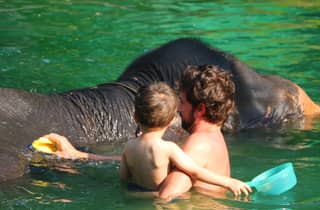 Khao Lak: Rafting, Elefantenbaden & Meeresschildkröten Center Tour