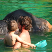 Khao Lak: Rafting, Elephant Bathing & Sea Turtle Center Tour Khao Lak: Rafting, Elephant Bathing & Sea Turtle Center Tour