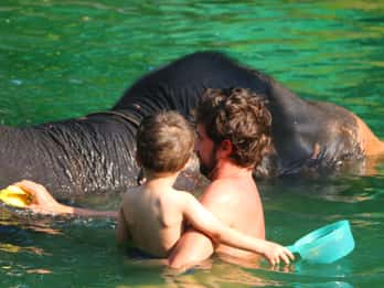Khao Lak: Rafting, Elephant Bathing & Sea Turtle Center Tour