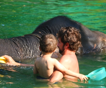 Khao Lak: Raften, olifanten zwemmen & zeeschildpadden centrum tour