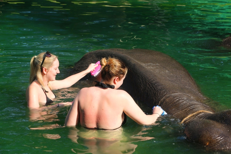 Khao Lak: Floßfahrt, Elefanten baden & Sea Turtle CenterFloßfahrt, Elefanten baden & Sea Turtle Center: Private Tour