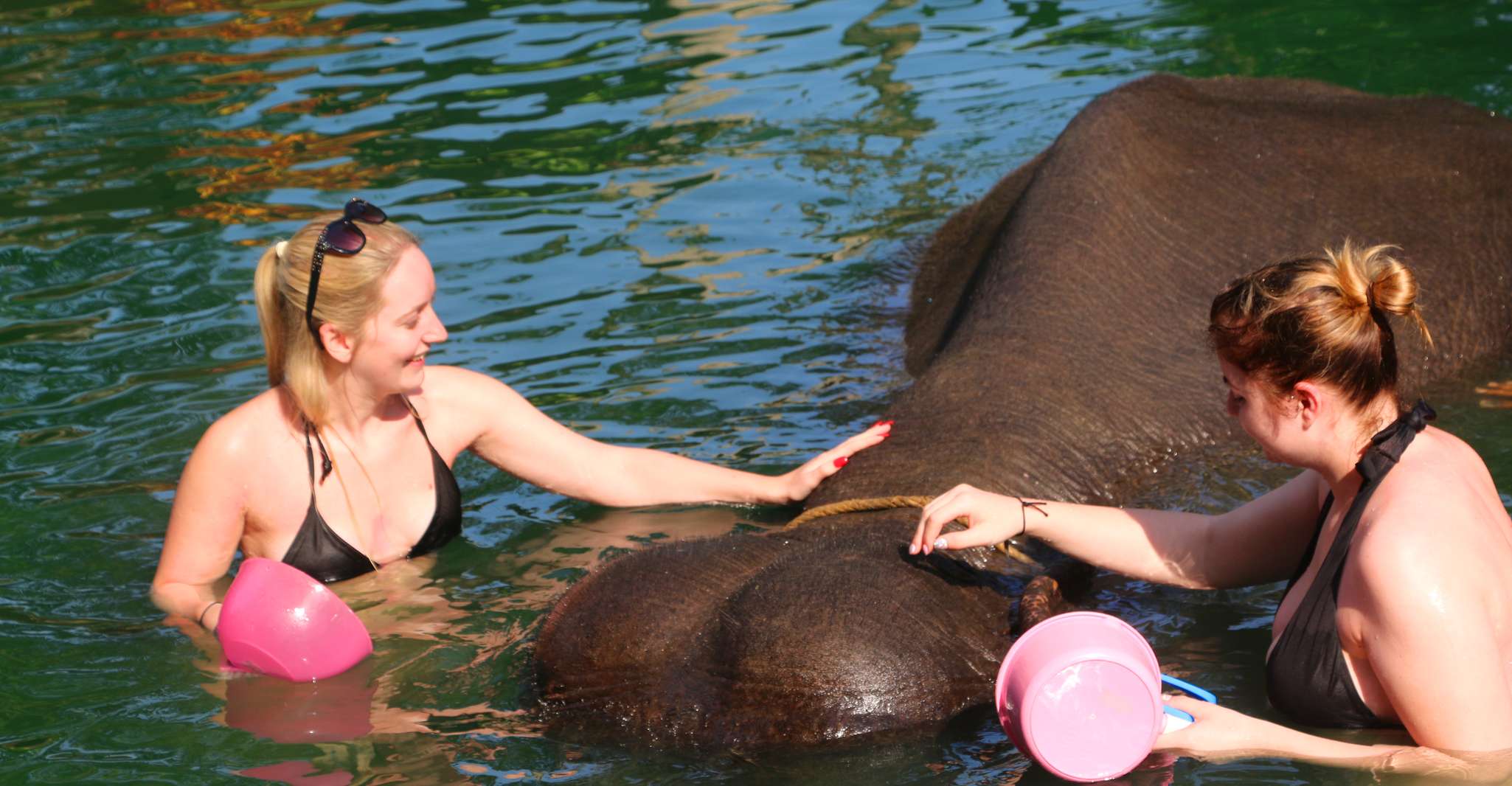 Khao Lak、Rafting、大象洗澡和海龟中心旅游 - Hizvo