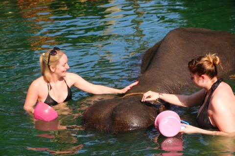 Khao Lak: Rafting, baño de elefantes y visita al centro de tortugas marinasTour de rafting, baño de elefantes y tortugas marinas