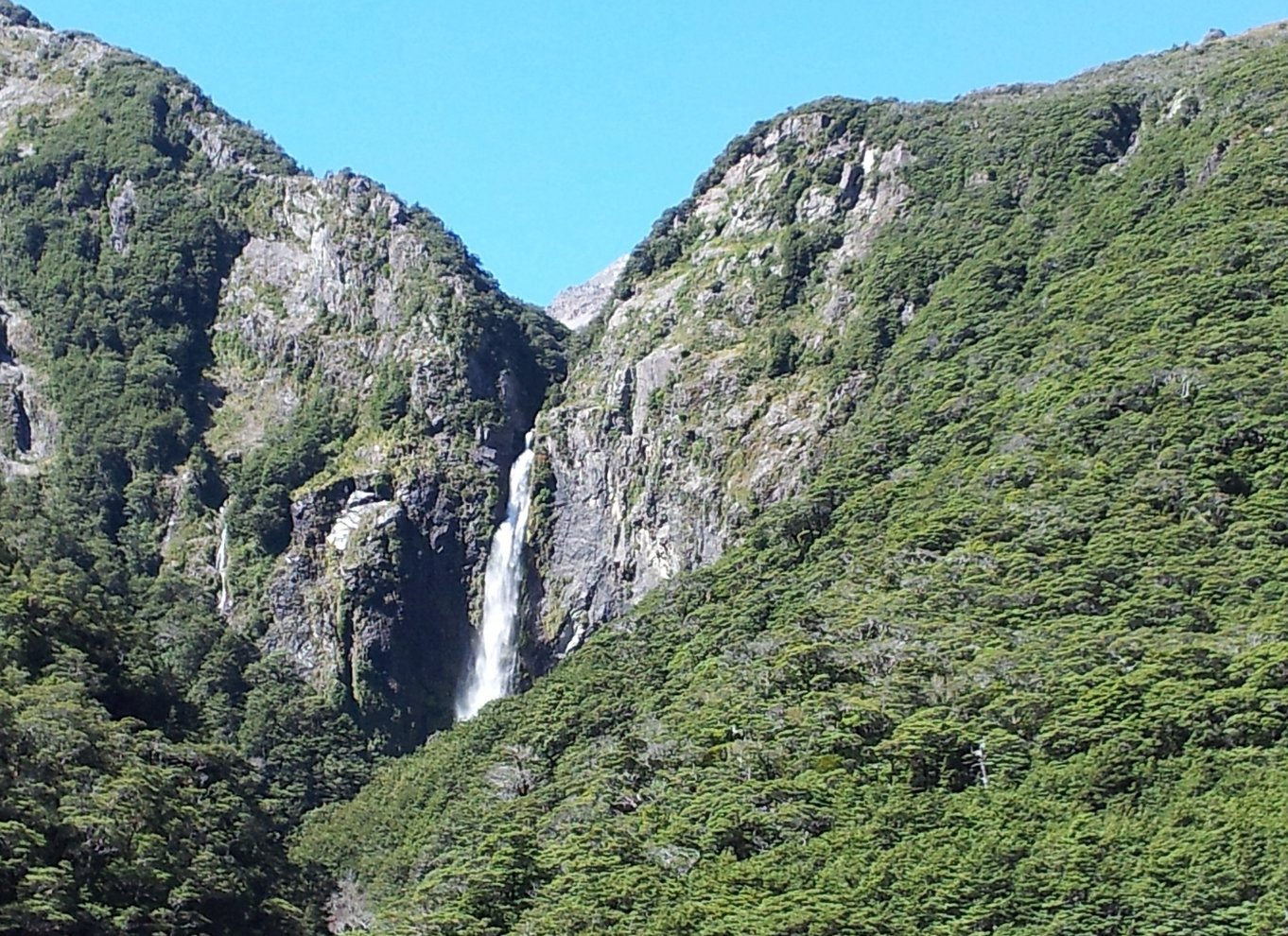 Arthur's Pass: TranzAlpine Train og Castle Hill dagstur