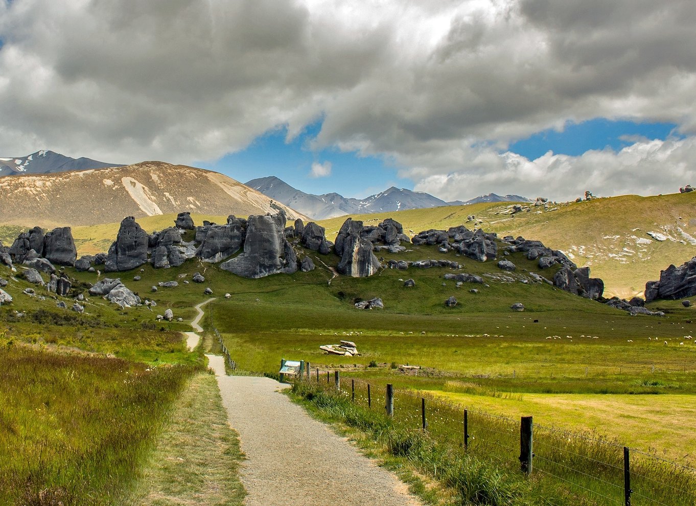 Arthur's Pass: TranzAlpine Train og Castle Hill dagstur