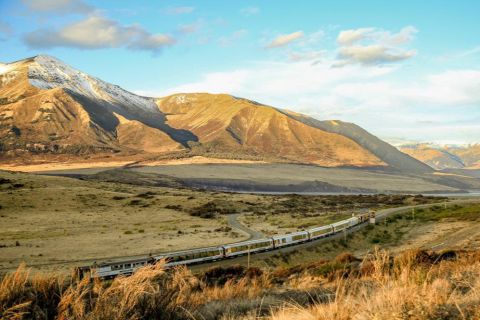 Перевал Артура: поезд TranzAlpine и однодневный тур на Замковую гору