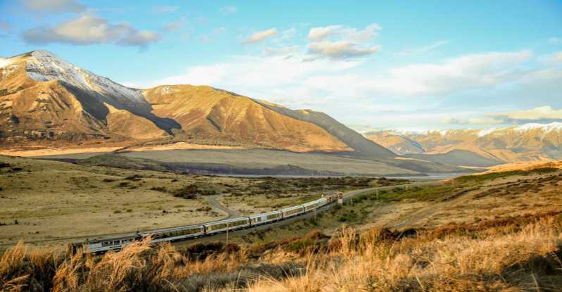 Arthur's Pass: TranzAlpine Train and Castle Hill Day Tour