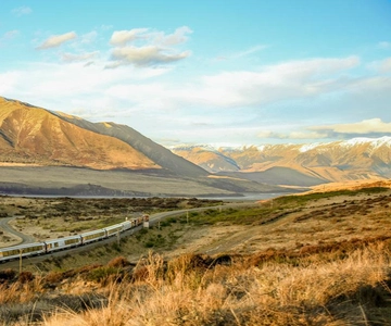 Arthur's Pass: TranzAlpine Train and Castle Hill Day Tour
