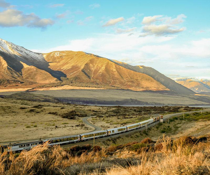 Arthur's Pass: TranzAlpine Train and Castle Hill Day Tour