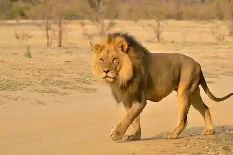 Hluhluwe Imfolozi Safari & Dumazulu Cultural Village