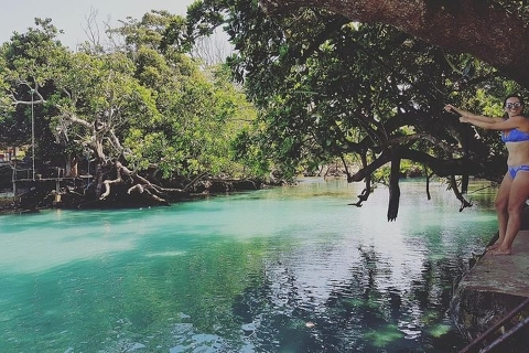 Port Vila: Pepeyo, Blue Lagoon & Eden Tour