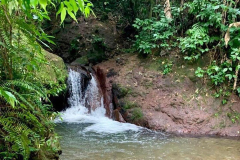 Martinique : La retraite revitalisante du matin au spa et au bien-être