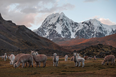 Ausangate Trek To Rainbow Mountain And Red Valley 5 Days