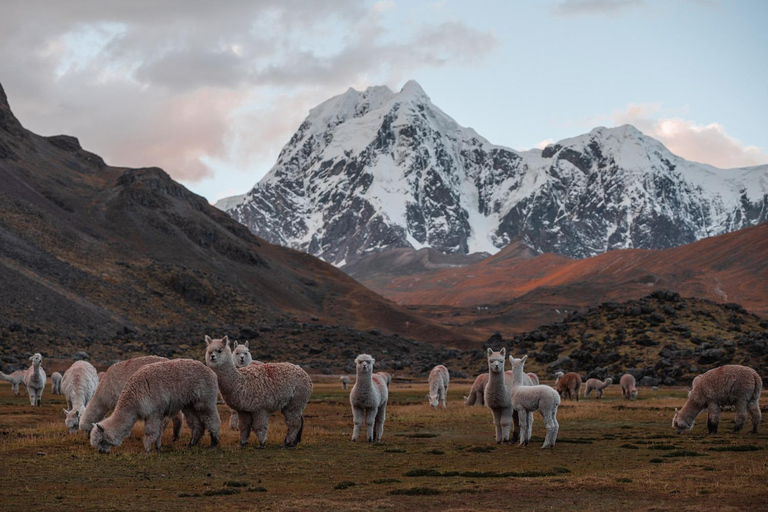 Ausangate Trek To Rainbow Mountain And Red Valley 5 Days