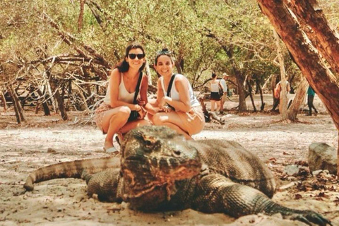 Da Bali: Tour dell&#039;Isola di Komodo di 2 giorni e 1 notte con volo