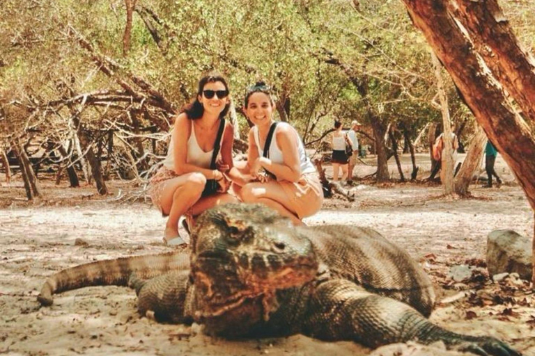 Da Bali: Tour dell&#039;Isola di Komodo di 2 giorni e 1 notte con volo