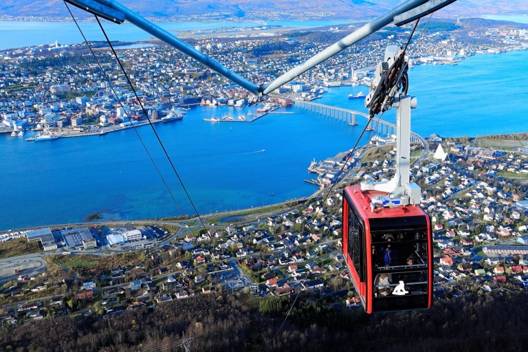 Tromsø: wycieczka kolejką linową i panorama Arktyki