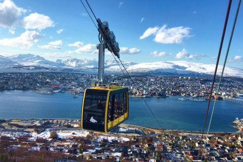 Tromsø: Arktisk panoramaudflugt med kabelbane
