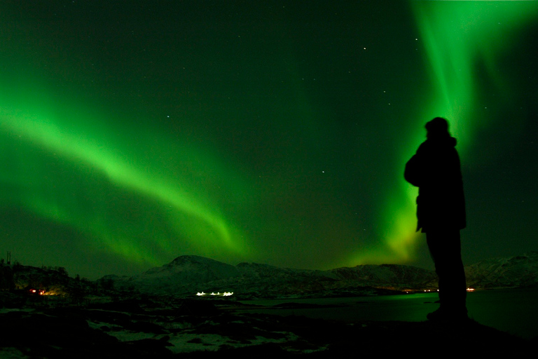 Tromso: Northern Lights Cable Car Excursion