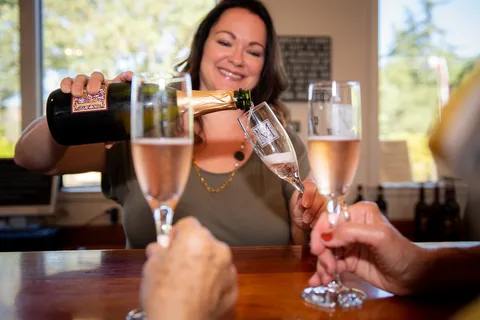 San Francisco: Redwood & Wine Country Tour with Lunch & Wine