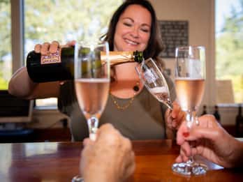 San Francisco: Redwood & Wine Country Tour mit Essen & Wein San Francisco: Redwood & Wine Country Tour mit Essen & Wein