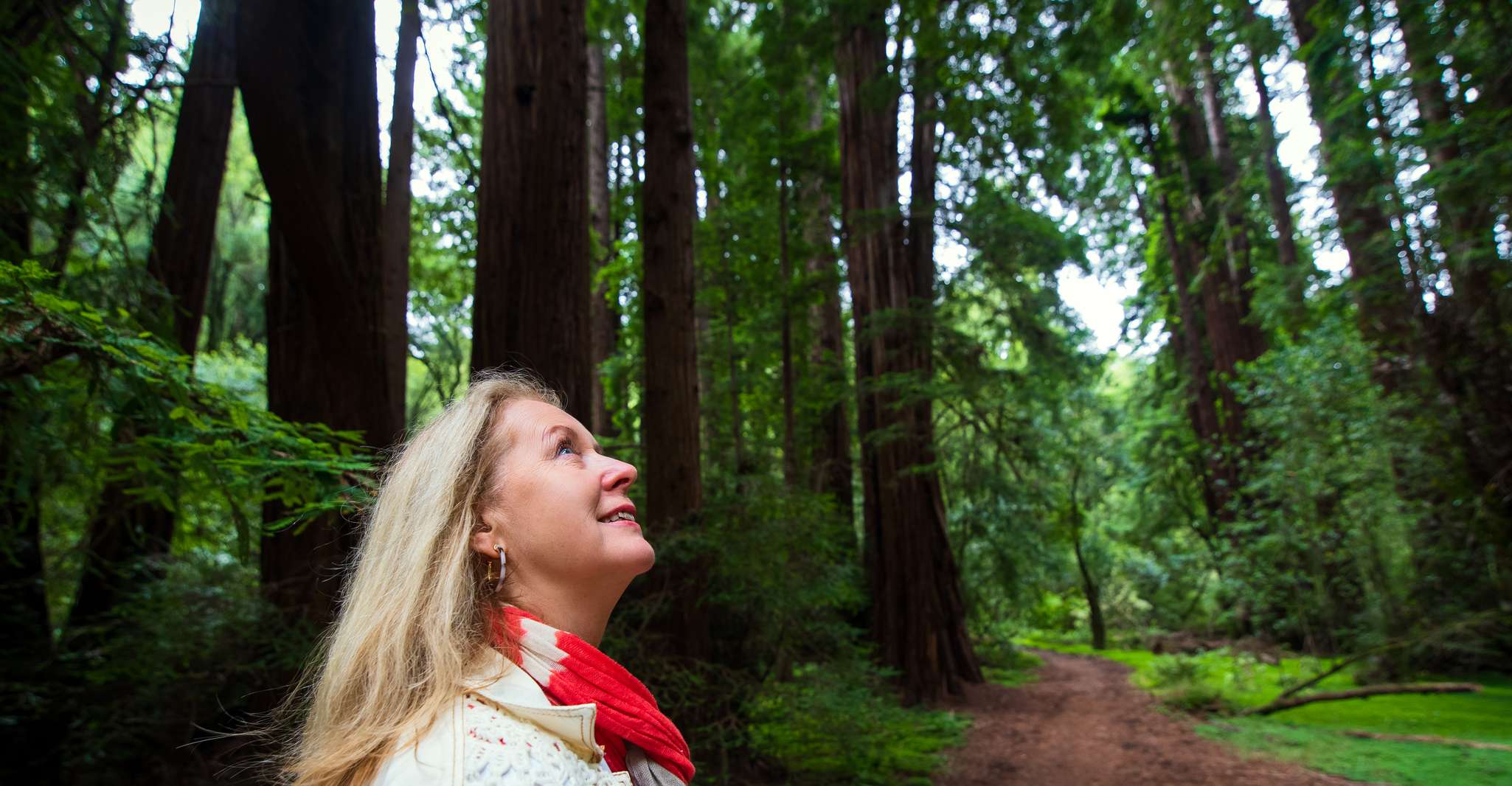 From San Francisco, Muir Woods Redwood Forest Tour - Housity