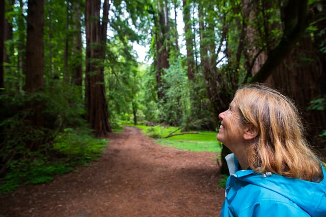 Depuis San Francisco : Visite de la forêt de séquoias de Muir Woods