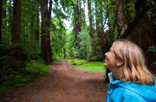 Ab San Francisco: Muir Woods National Monument Tour
