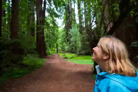 San Francisco: Muir Woods und Sausalito Tour mit Eintritt