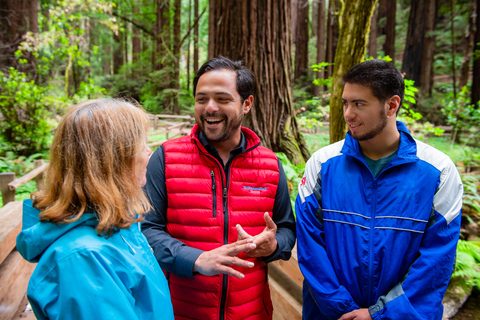 Desde San Francisco: tour de secuoyas Muir WoodsTour en grupo por la mañana