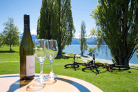 Wanaka, Self-Guided MTB or e-Bike - Lake Hawea River Trail - Hizvo