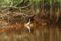 Khao Lak, Sri Phang Nga Canoe and Tam Nang Waterfall Tour - Housity