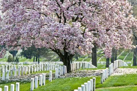 From Washington, DC: Civil War Virginia Day Trip