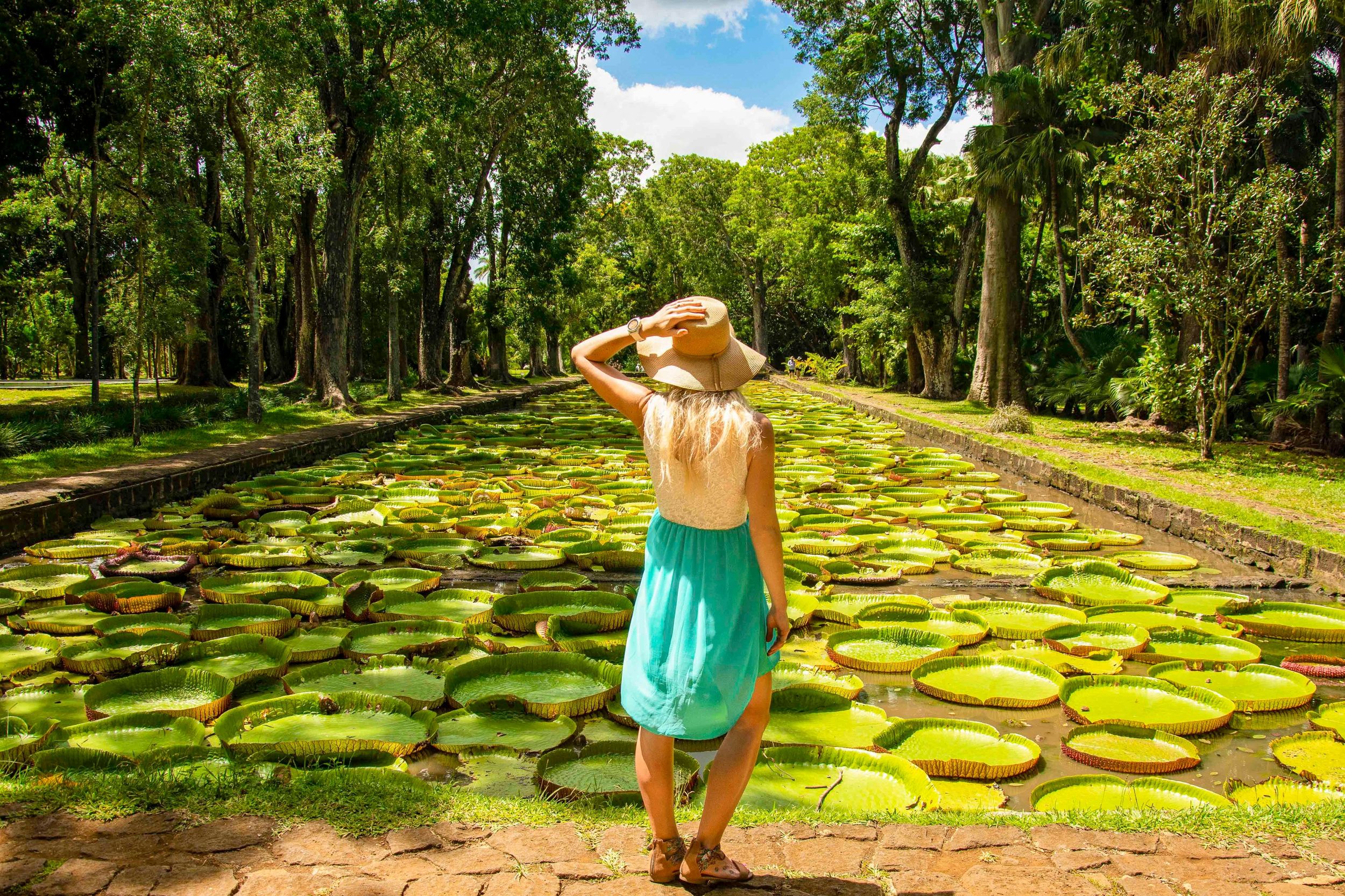 Mauritius: Private ganztägige Instagram-Tour zu den Highlights