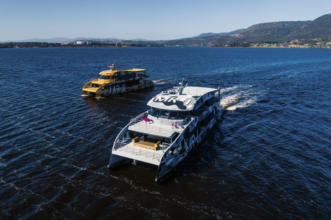 Au départ de Hobart : Le vin de Moorilla rencontre l'art de Mona : excursion d'une journée