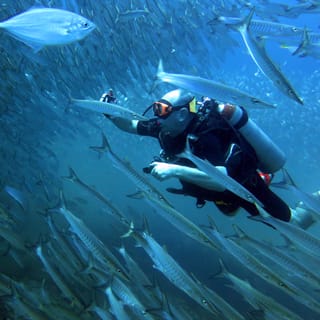 Koh Kood: 2 immersioni esplorative per principianti