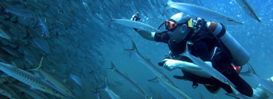 Koh Kood : Découverte de la plongée sous-marine pour les débutants avec 2 plongées