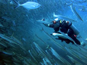 Koh Kood: Discover Scuba Diving for Beginners with 2 Dives