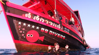 Koh Kood or Koh Rang, Snorkeling Day Trip with Buffet Lunch - Housity