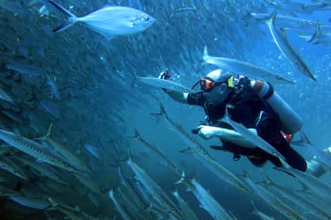 Koh Mak: Discover Scuba Diving for Beginners with 2 Dives