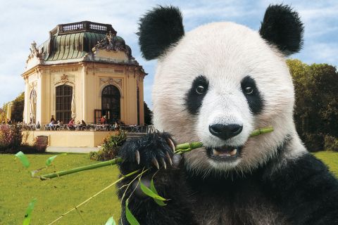 Vienne : billet coupe-file pour le zoo de Schönbrunn