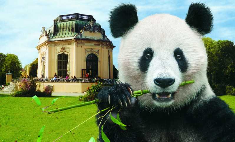 Zoo di Schönbrunn a Vienna: biglietto prioritario
